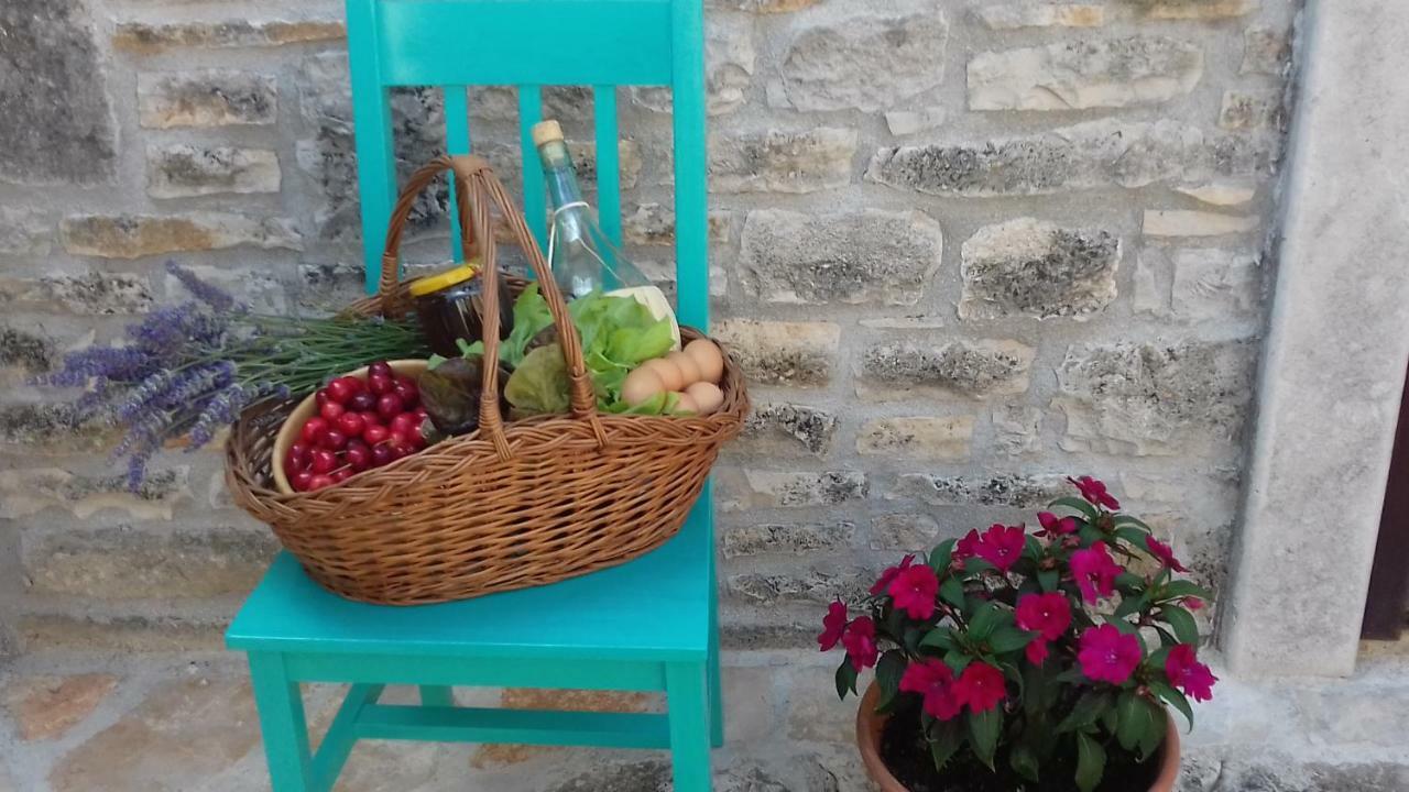 Authentic Istria&Pet Friendly Apartment Banko Near Rovinj Канфанар Екстер'єр фото