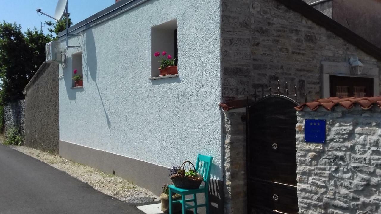 Authentic Istria&Pet Friendly Apartment Banko Near Rovinj Канфанар Екстер'єр фото